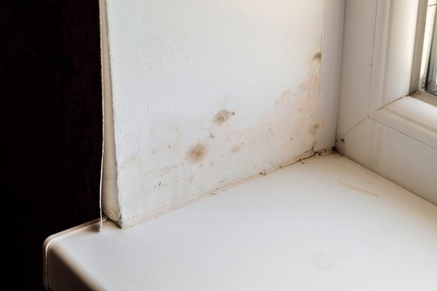 Worn and Moldy Wall
