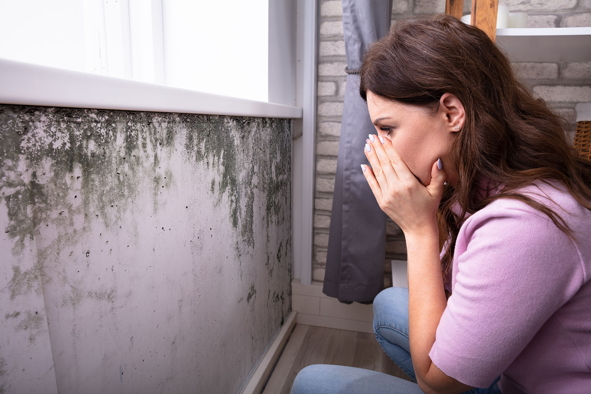 Does Your Homeowners Insurance Cover Mold Damage Apel USA Does Your Homeowners Insurance Cover Mold Damage Apel USA
